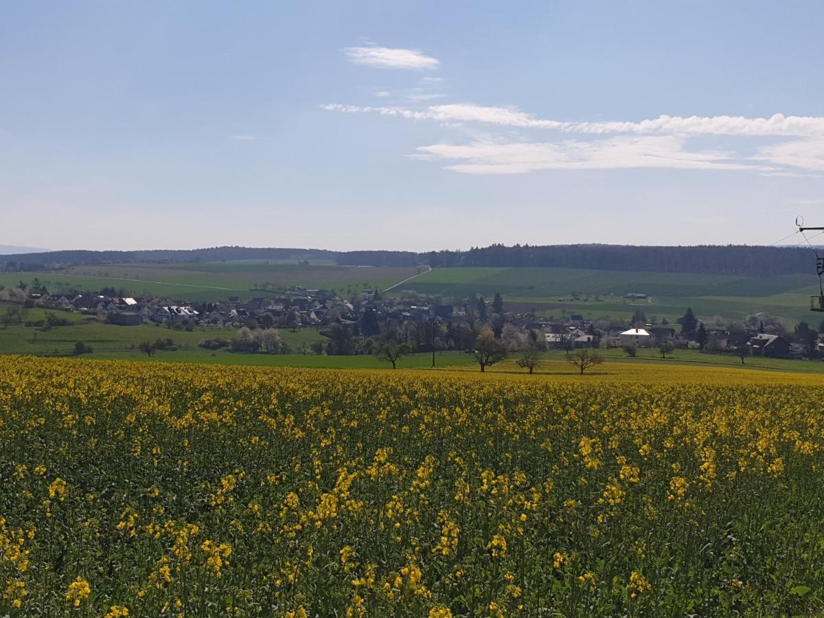 Pension Zum Adler Limbach  Exteriér fotografie